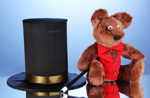 Niedźwiedź i czarny cylinder na niebieskim tle — Zdjęcie stockowe