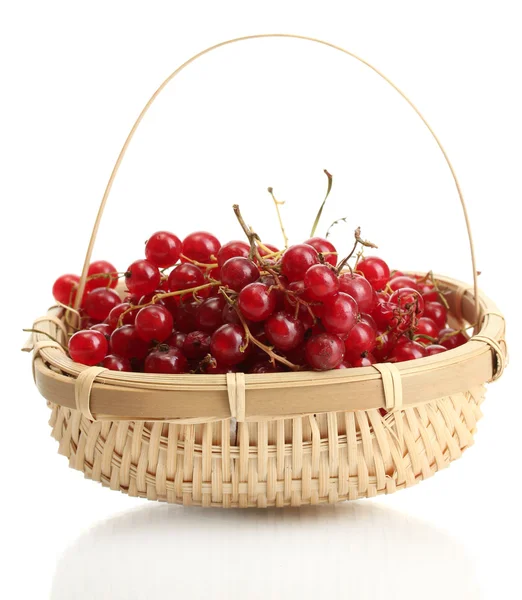 Redcurrants in a basket isolated on white — Stock Photo, Image