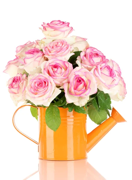 Schöner Strauß rosa Rosen in der Gießkanne, isoliert auf weiß — Stockfoto