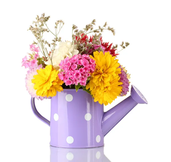 Purple watering can with white polka-dot with flowers isolated on white — Stock Photo, Image