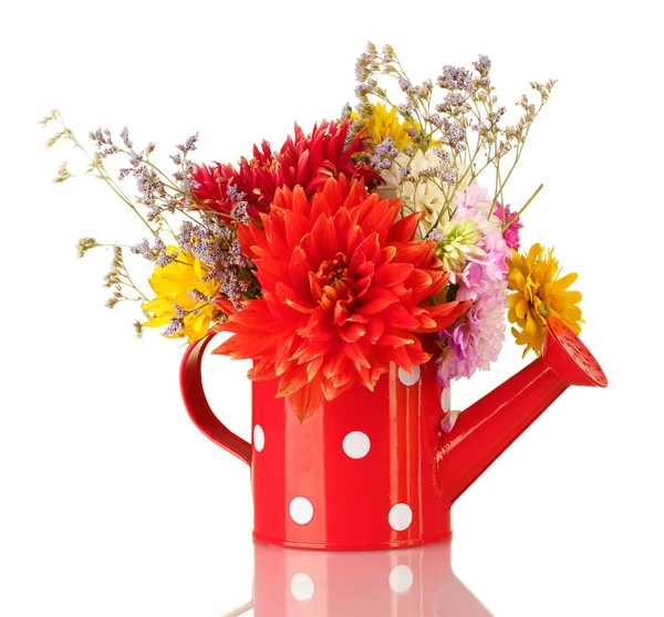 Red watering can with white polka-dot with flowers isolated on white — Stock Photo, Image