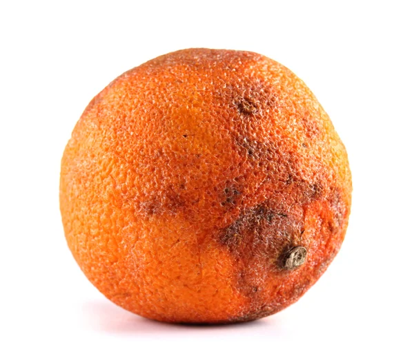 Rotten orange isolated on white — Stock Photo, Image