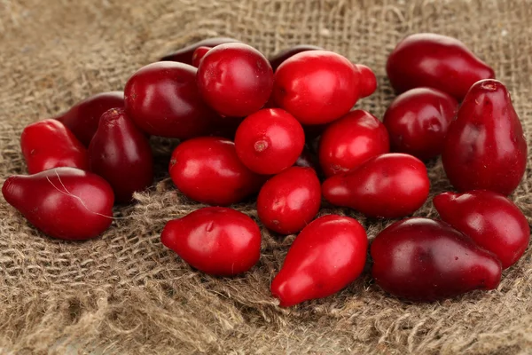 Fresh cornel berries on sackcloth close-up — Stock Photo, Image