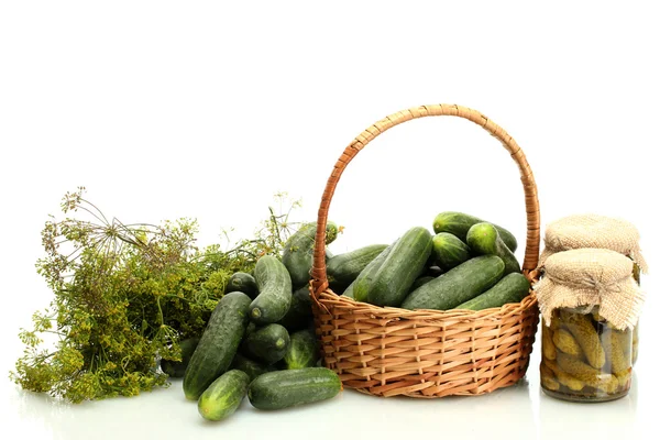 Verse komkommers, augurken en dille in mand geïsoleerd op wit — Stockfoto