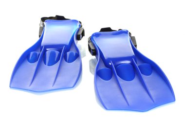 Mavi palet üzerinde beyaz izole