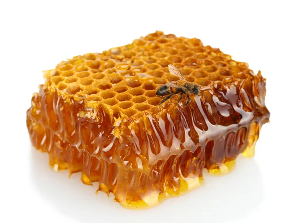 Sweet honeycomb with honey and bee, isolated on white — Stock Photo, Image