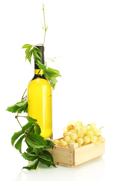 Bottle of wine with grapes isolated on white — Stock Photo, Image