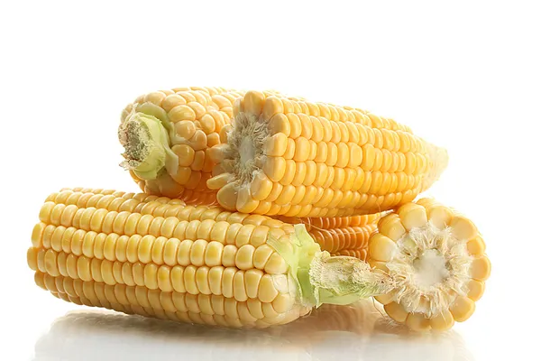 Friss kukorica, elszigetelt fehér — Stock Fotó