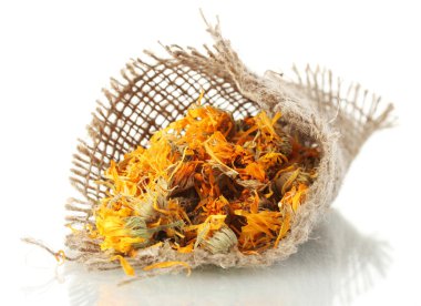 kurutulmuş calendula ehlileştirmek, üzerinde beyaz izole çiçeği.