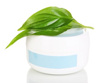 beyaz izole yeşil yaprakları ile krem kavanoz