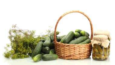 taze salatalık, turşu ve dereotu sepette beyaz izole