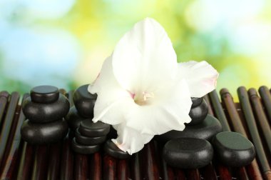 Glayöl bud bambu hasır yakın çekim üzerinde taşlarla Spa