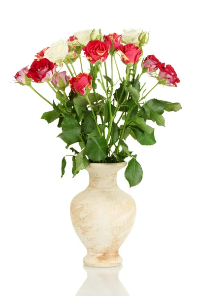 Beautiful roses in vase isolated on white — Stock Photo, Image