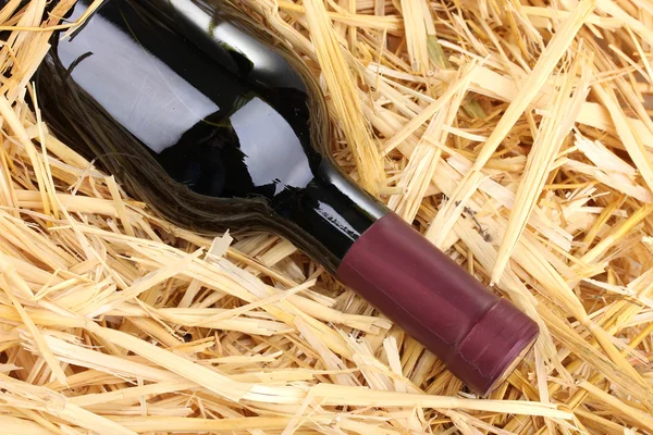 Bottle of great wine on hay — Stock Photo, Image