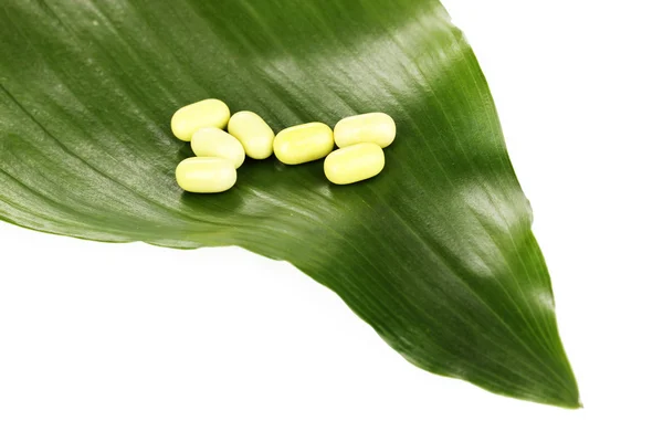 Comprimidos sobre hoja verde aislados sobre blanco —  Fotos de Stock
