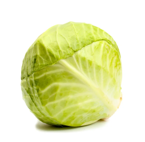 Cabbage Stock Photo by ©logoff 2164341