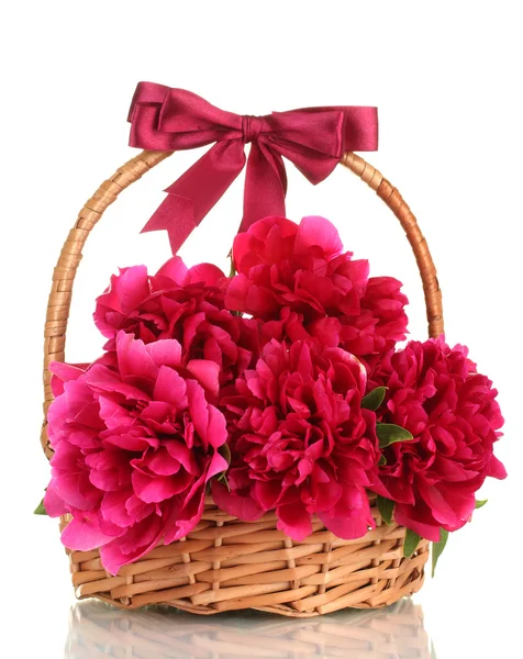 Sepette Beyaz izole yay ile güzel pembe peonies