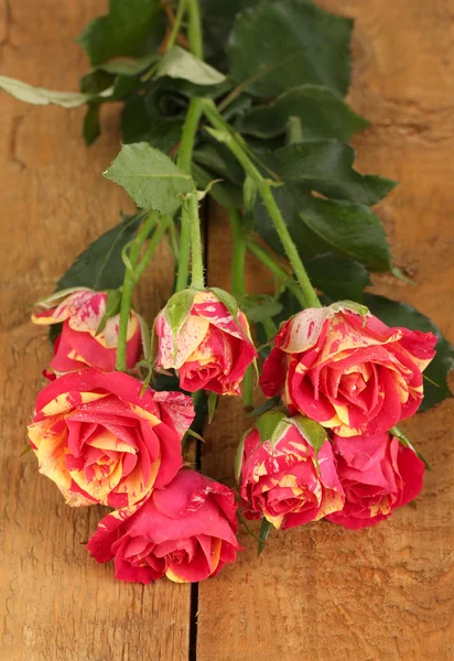 Hermosas rosas rojo-amarillas sobre fondo de madera de cerca —  Fotos de Stock