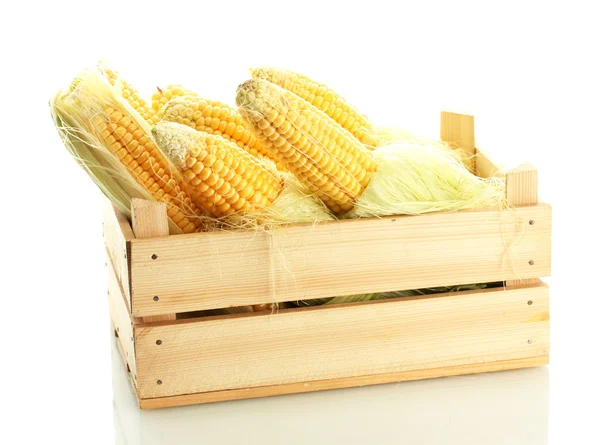 Fresh corn in wooden box, isolated on white — Stock Photo, Image