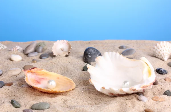 Sea shells with pearl on sand — Stock Photo, Image