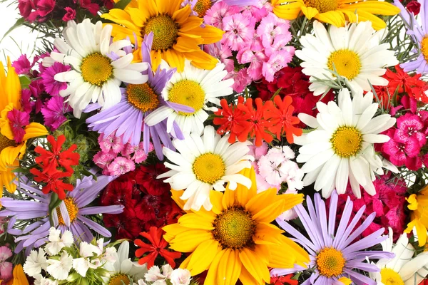 Hermoso ramo de flores silvestres brillantes, de cerca —  Fotos de Stock