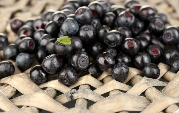 Fresh blueberries on wicker mat close-up — Stock Photo, Image
