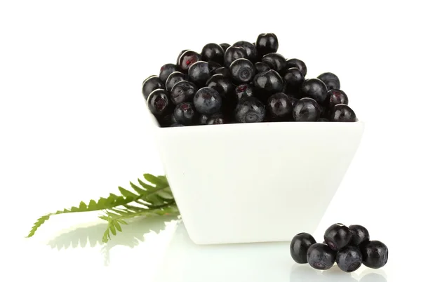 Fresh blueberries in white bowl isolated on white — Stock Photo, Image