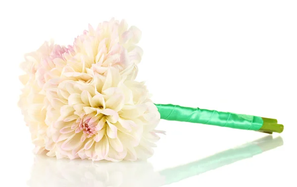 Bouquet di bellissime dalie bianche legate con nastro isolato su bianco — Foto Stock