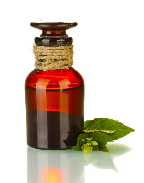 Essential oil and mint isolated on white — Stock Photo, Image