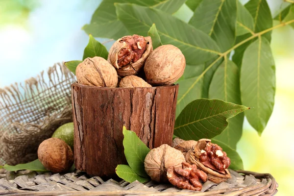 Walnuts with green leaves in garden, on green background — Stock Photo, Image