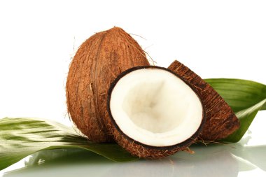 hindistancevizi ile üzerine beyaz arka plan yakın çekim yaprak yeşil