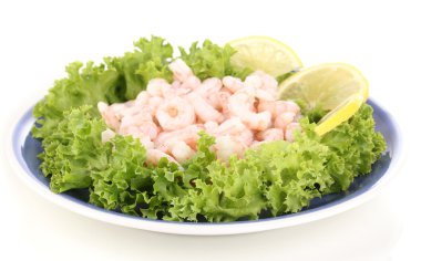 plaka üzerinde beyaz izole lezzetli Marine karides