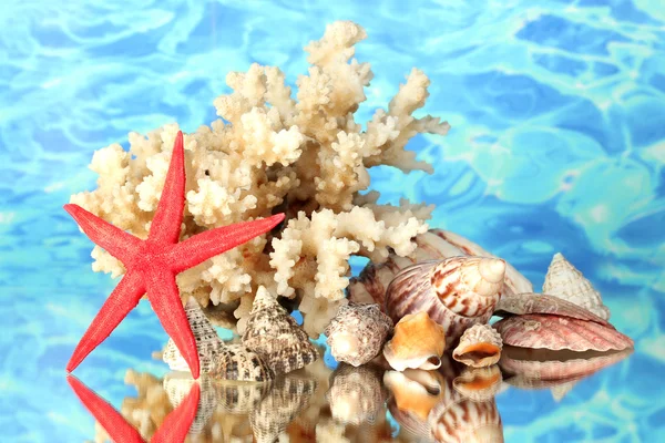 Coral marino con conchas sobre fondo de agua de cerca — Foto de Stock