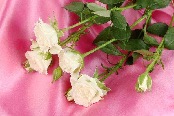 Piękne białe róże na różowy szczegół satyna — Zdjęcie stockowe