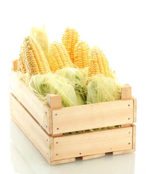 Fresh corn in wooden box, isolated on white — Stock Photo, Image