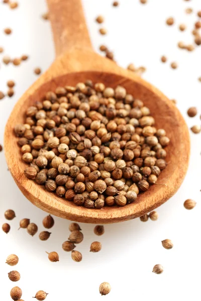 Montón de semillas de cilantro en cuchara de madera sobre fondo blanco de cerca — Foto de Stock