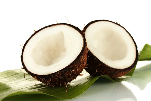 Helften van de kokosnoot met groene leaf op witte achtergrond close-up — Stockfoto