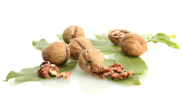 Valnötter med gröna blad, isolerad på vit — Stockfoto