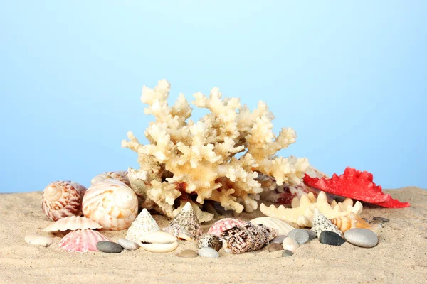 Coral marinho com conchas em fundo azul close-up — Fotografia de Stock