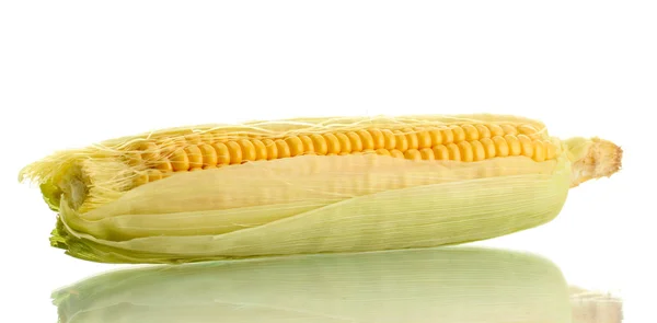 Färsk majs, isolerad på vit — Stockfoto