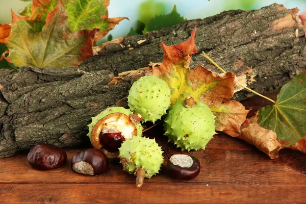 Castanhas com folhas secas de outono e casca — Fotografia de Stock