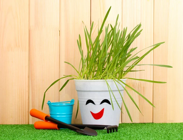 A pot of grass on wooden background — Stock Photo, Image