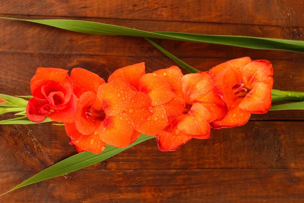 Tak van Oranje gladiolen op houten achtergrond close-up — Stockfoto