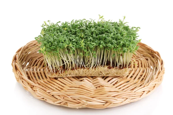 Fresh garden cress on wicker cradle isolated on white — Stock Photo, Image