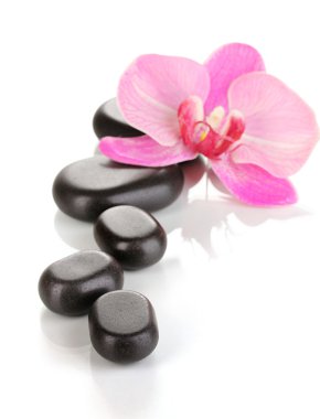 Orkide çiçek üzerinde beyaz izole taşlarla Spa