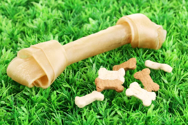Кость собаки на зеленой траве — стоковое фото