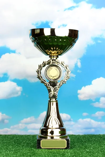Copa de trofeo sobre hierba y fondo del cielo — Foto de Stock