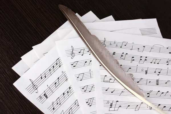 Musical notes and feather on wooden table — Stock Photo, Image