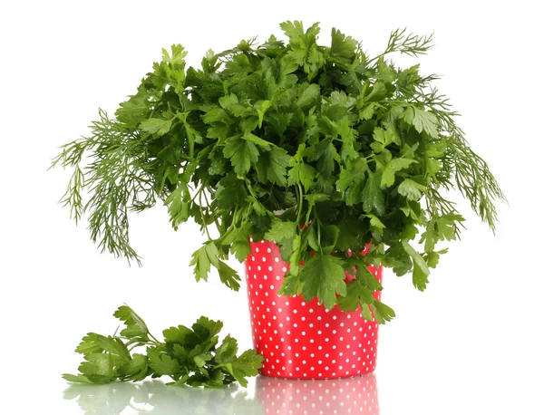 Colorful pot with parsley and dill isolated on white — Stock Photo, Image