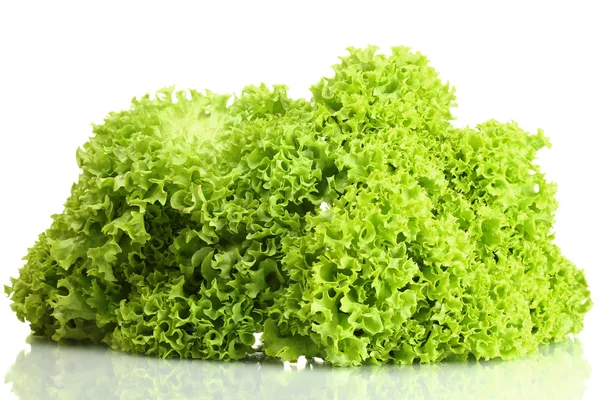 Lechuga fresca aislada en blanco — Foto de Stock